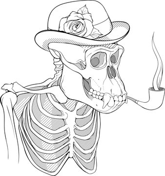 black and white skeleton of gorilla smoking pipe 