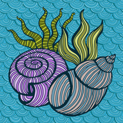 Beautiful sea shell set vector image.