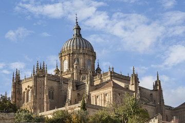 Fototapeta premium Catedral Nueva y Vieja y Ieronimus