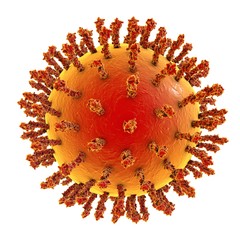 Influenza virus isolated on white background. Virus which causes swine flu, avian flu, flu and common cold
