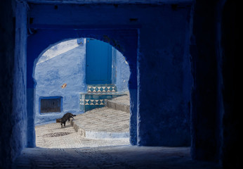 Chefchaouen - Blue village in Morocco