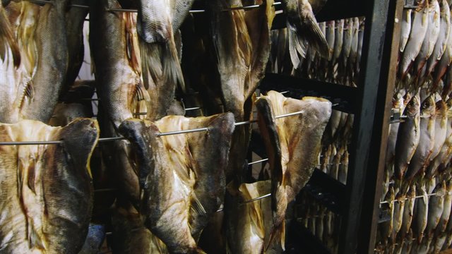 Cages with fish in the fish factory