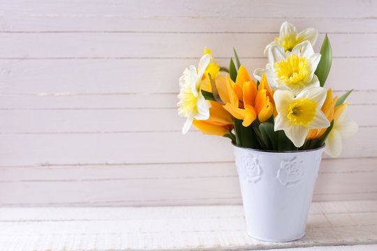 Yellow narcissus and  tulips flowers in bucket