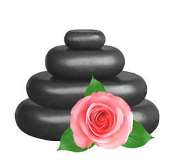 Spa stones and pink roses isolated on white