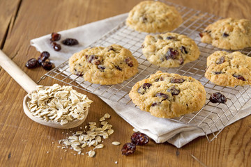 cranberry oatmeal cookies