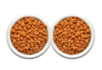 Dry cat food in plate isolated on white background