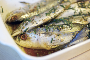 Marinated Mackerels