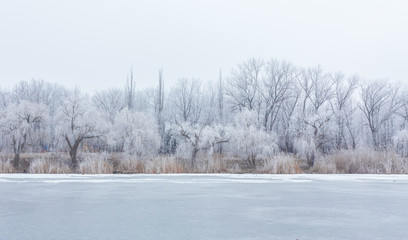 Winter time in forest lake. 