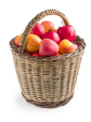 autumn apples in basket