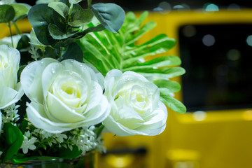 white roses as a background.