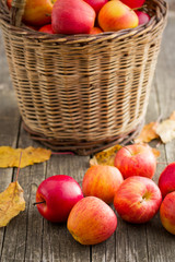 autumn apples on wooden table