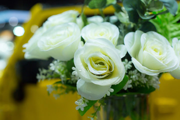 white roses as a background.