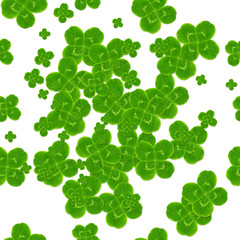 Fototapeta na wymiar leaf clover symbol of good luck