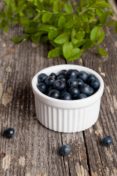 fresh blueberries in a bowl
