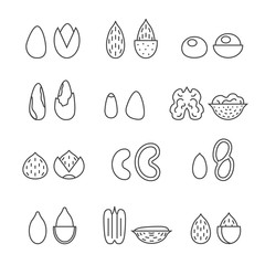 Nuts and seeds vector set. Modern outline minimalistic design. Icons set.