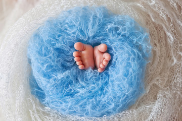 Fototapeta premium Close up picture of new born baby feet in knitted plaid