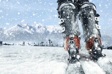 skis 