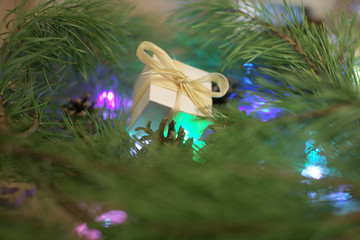 Маленькая коробка с подарком в еловых ветках   © Olga Tkacheva