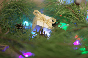 Маленькая коробка с подарком в еловых ветках   © Olga Tkacheva