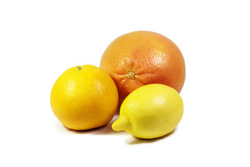 citrus
