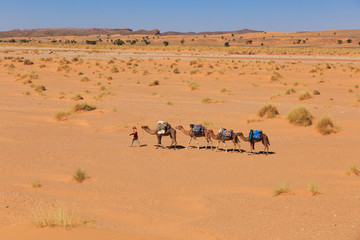 Fototapeta na wymiar camel caravan going through the desert