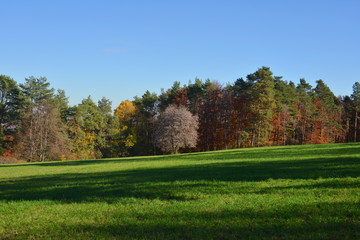 Herbstliche Felder und Wälder