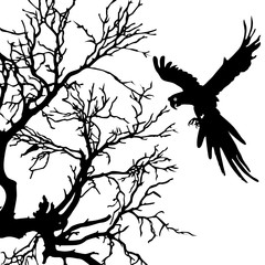 ara and tree black vector silhouette © draganm