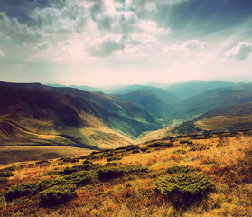 Colorful autumn landscape in mountains. Retro style.