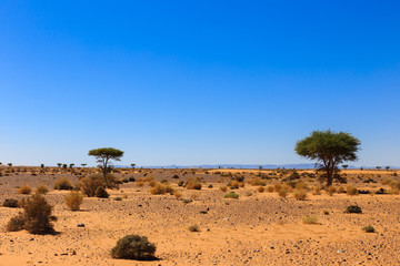 landscape in the Sahara desert