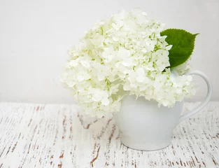 Crédence de cuisine en verre imprimé Hortensia hortensia blanc dans un vase