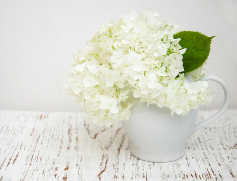 white hydrangea in a vase