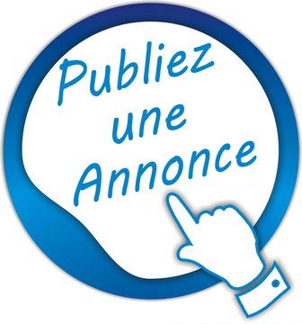 bouton publiez une annonce