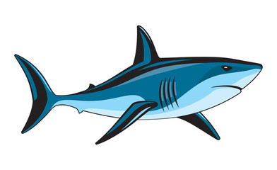 Shark