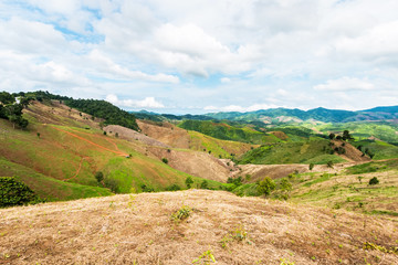 Naklejka premium agriculture on Mountain, Nan Province, Northern of Thailand.