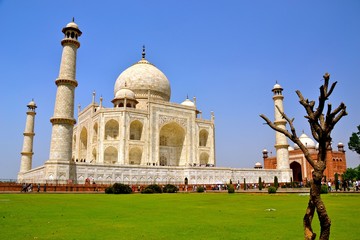 Perspective of the Taj Mahal