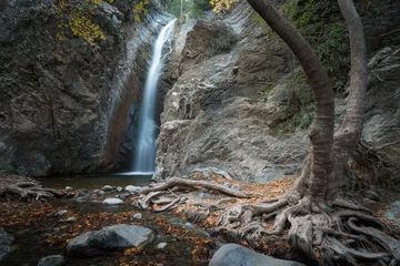 Poster Panorama Millomeri waterfall near Platres in the Troodos. Cyprus. © alexanderkonsta