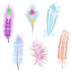 set of colored feathers, fluffy feathers, vector
