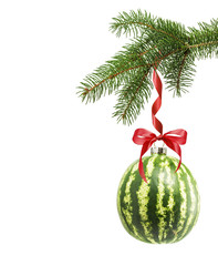 Christmas tree branch with Christmas ball in shape of watermelon