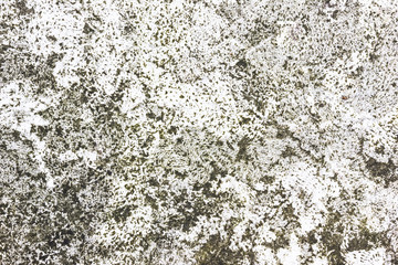 Green rotten dirty wall texture.