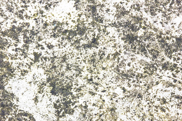 Green rotten dirty wall texture.