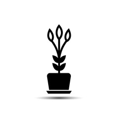 flower in a pot icon