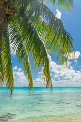 Paradise view of Rangiroa atoll, French Polynesia