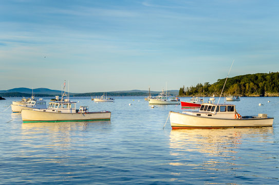 Fishing Boats Moored in Harbour at Dusk. Bar Harbor, Maine.