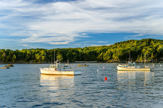 Fishing Boats Moored in Harbour and Cloudy Sky