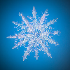 a real snowflake macro lies on a blue background, as if flying in sky