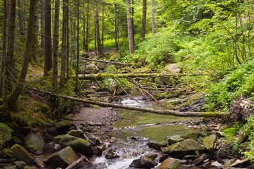 Fototapeta na wymiar Small Carpathian stream