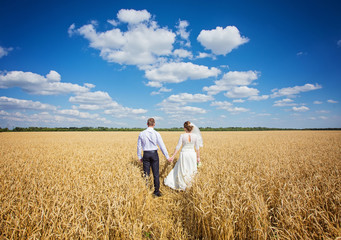 Naklejka na ściany i meble young beautiful wedding couple hugging in a field with grass 