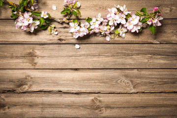 Fototapeta na wymiar Apple blossoms on wooden surface. Spring background