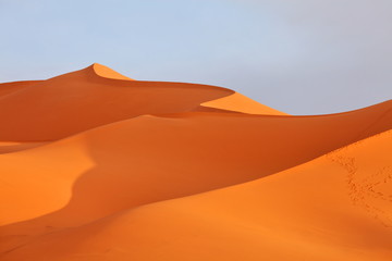 Fototapeta na wymiar Sahara desert 
