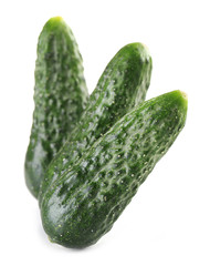 Ripe cucumbers isolated on white